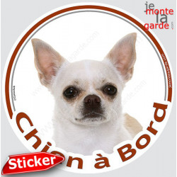 Chihuahua blanc poils courts Tête, sticker autocollant rond "Chien à Bord" Disque photo adhésif vitre voiture