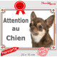 Chihuahua marron chocolat à poils courts, plaque portail "Attention au Chien" pancarte brun dilué panneau photo