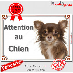 Chihuahua chocolat à poils longs, plaque portail "Attention au Chien" pancarte panneau photo Chiwawa marron