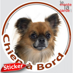 Chihuahua fauve charbonné poils longs, sticker autocollant rond "Chien à Bord" Disque adhésif vitre voiture photo