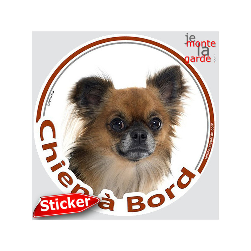 Chihuahua fauve charbonné poils longs, sticker autocollant rond "Chien à Bord" Disque adhésif vitre voiture photo Chihuahua fauve charbonné poils longs, sticker autocollant rond "Chien à Bord" Disque adhésif vitre voiture photo