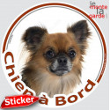Chihuahua fauve poils longs, sticker voiture rond "Chien à Bord" 2 tailles D 3a