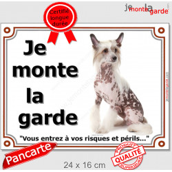 Chien Chinois à Crête Assis, plaque portail "Je Monte la Garde, risques périls" pancarte photo