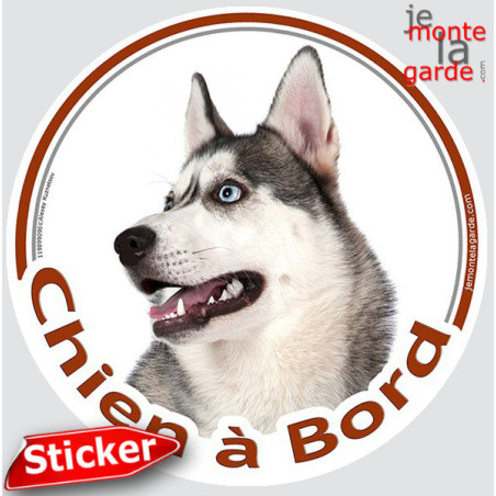 Husky gris , sticker voiture rond "Chien à Bord" 15 cm - 3a Husky gris , sticker voiture rond "Chien à Bord" 15 cm - 3a