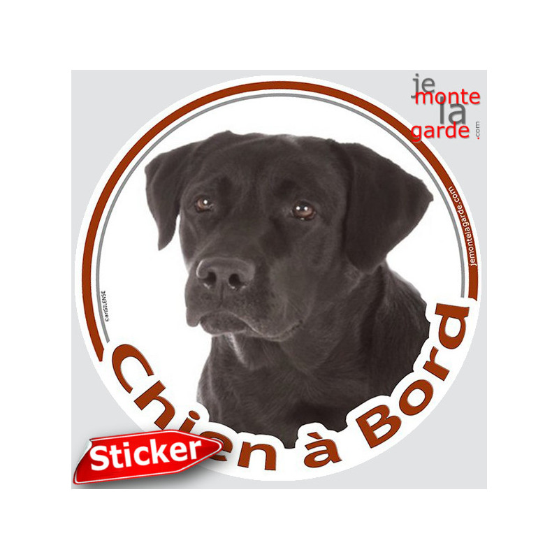 Labrador noir, sticker autocollant rond "Chien à Bord" Disque adhésif photo vitre voiture, résiste pluie soleil gel, idée cadeau