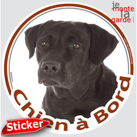 Labrador noir, sticker autocollant rond "Chien à Bord" Disque adhésif photo vitre voiture, résiste pluie soleil gel, idée cadeau