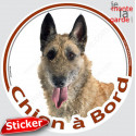 Berger Belge Laekenois , sticker voiture rond "Chien à Bord" 15 cm 3a