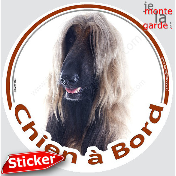 Lévrier Afghan fauve Tête,, sticker voiture rond "Chien à Bord" Disque photo autocollant marron sable beige