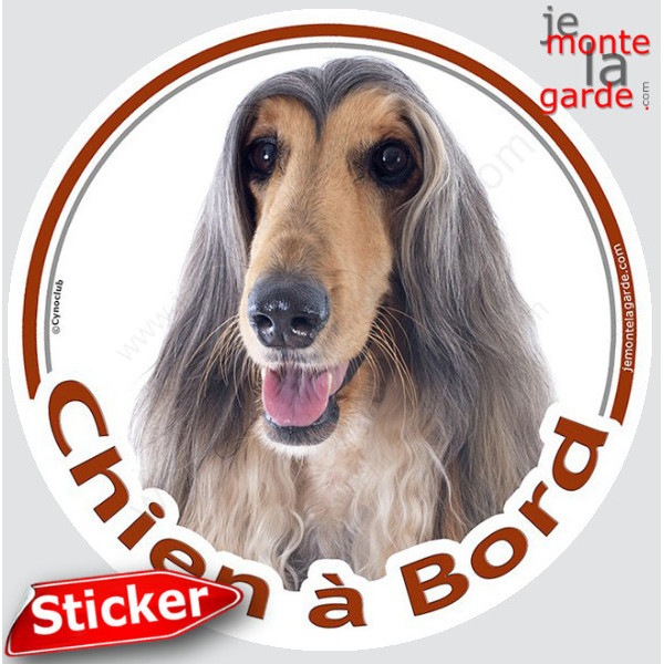 Lévrier Afghan tricolore Tête, sticker voiture rond "Chien à Bord" Disque photo autocollant 3 couleurs