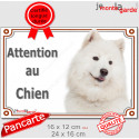Samoyède, plaque portail "Attention au Chien" 2 Tailles LUX D
