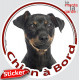 Pinscher noir et feu Tête, sticker autocollant rond "Chien à Bord" Disque photo adhésif vitre voiture