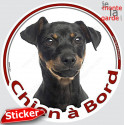Pinscher noir et feu, sticker rond voiture "Chien à Bord" 15 cm