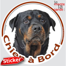 Rottweiler Tête, sticker autocollant rond "Chien à Bord" Disque photo adhésif vitre voiture, résiste pluie soleil gel, idée cade