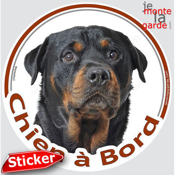 Rottweiler Tête, sticker autocollant rond "Chien à Bord" Disque photo adhésif vitre voiture