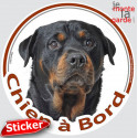 Rottweiler, sticker voiture rond "Chien à Bord" 15 cm - 3a