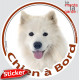 Samoyède Tête, sticker autocollant rond "Chien à Bord" Disque adhésif vitre voiture