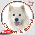 Samoyède, sticker voiture rond "Chien à Bord" 15 cm - 3a