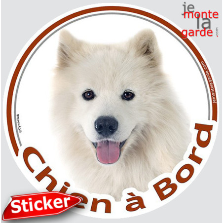 Samoyède Tête, sticker autocollant rond "Chien à Bord" Disque adhésif vitre voiture, résiste pluie soleil gel, idée cadeau