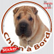 Shar-Peï fauve marron Tête, sticker autocollant rond "Chien à Bord" Disque adhésif vitre voiture photo