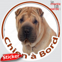 Shar-Peï fauve, sticker voiture rond "Chien à Bord" 15 cm - 3a