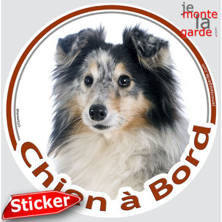 Berger Shetland merle, sticker voiture rond photo "Chien à Bord"résiste pluie soleil gel, idée cadeau, 2 Tailles D Berger Shetland merle, sticker voiture rond photo "Chien à Bord"résiste pluie soleil gel, idée cadeau, 2 Tailles D