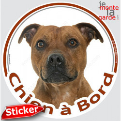 Staffie fauve marron, sticker autocollant rond "Chien à Bord" Disque photo Staffy Tête, adhésif vitre voiture