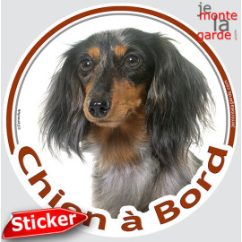 Teckel tricolore merle à poils longs Tête, sticker autocollant rond "Chien à Bord" Disque adhésif vitre voiture Arlequin, résist