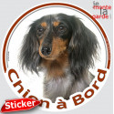 Teckel poils longs, sticker voiture rond "Chien à Bord" 15 cm - 3a