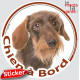 Teckel marron fauve à poils durs Tête, sticker autocollant rond "Chien à Bord" Disque photo adhésif vitre voiture