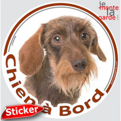 Teckel marron fauve à poils durs Tête, sticker autocollant rond "Chien à Bord" Disque photo adhésif vitre voiture