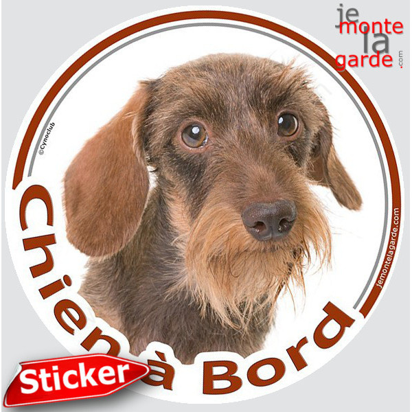 Teckel marron fauve à poils durs Tête, sticker autocollant rond "Chien à Bord" Disque photo adhésif vitre voiture