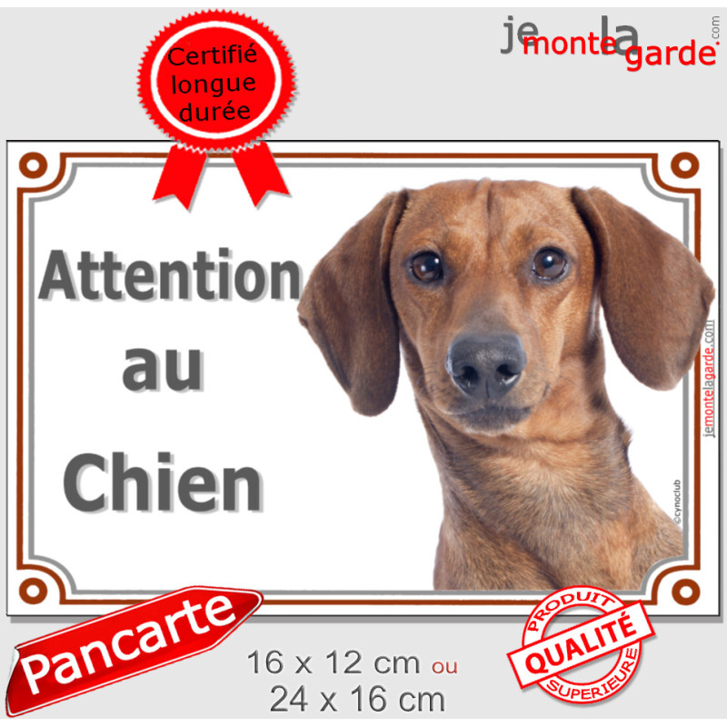 Teckel fauve poils ras Tête, plaque portail "Attention au Chien" pancarte panneau photo Tequel marron orange Teckel fauve poils ras Tête, plaque portail "Attention au Chien" pancarte panneau photo Tequel marron orange