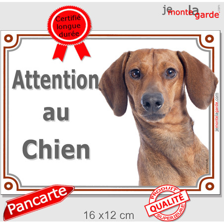 Teckel fauve poils ras, plaque portail "Attention au Chien" 2 tailles LUX D Teckel fauve poils ras, plaque portail "Attention au Chien" 2 tailles LUX D