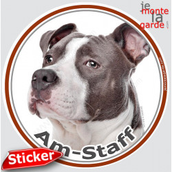 Disque autocollant ronds à coller partout (voiture, frigo, panneau, meuble, vitre...) avec votre American-Staff Bleu en photo