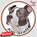Amstaff Bleu, sticker autocollant photo rond 15 cm 3a
