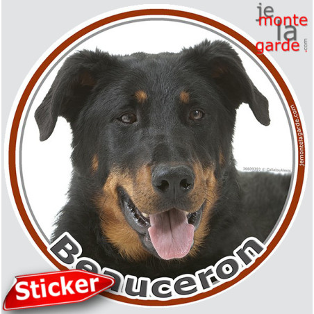 Beauceron noir et feu, sticker photo rond 14 cm Beauceron noir et feu, sticker photo rond 14 cm