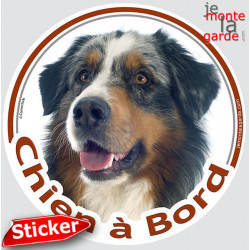 Berger Australien Bleu Merle Tête, sticker autocollant rond "Chien à Bord" Disque adhésif vitre voiture photo Aussie