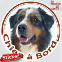 Berger Australien bleu merle, sticker voiture rond "Chien à Bord" 15 cm - 3a