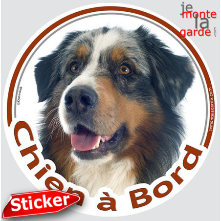 Berger Australien Bleu Merle Tête, sticker autocollant rond "Chien à Bord" Disque adhésif vitre voiture photo Aussie