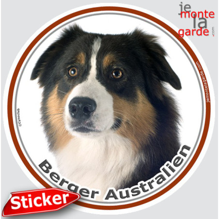 Berger Australien Tricolore Noir Tête, sticker autocollant rond Disque adhésif photo race chien Aussie