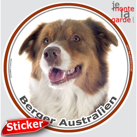 Berger Australien Tricolore Rouge, sticker photo rond 15 cm 3a Berger Australien Tricolore Rouge, sticker photo rond 15 cm 3a