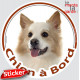 Berger Islandais Tête, sticker autocollant rond "Chien à Bord" Disque photo adhésif vitre auto voiture