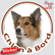 Border Collie tricolore Tête, sticker autocollant rond "Chien à Bord" Disque photo adhésif vitre voiture auto