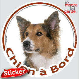 Border Collie tricolore Tête, sticker autocollant rond "Chien à Bord" Disque photo adhésif vitre voiture auto, résiste pluie sol