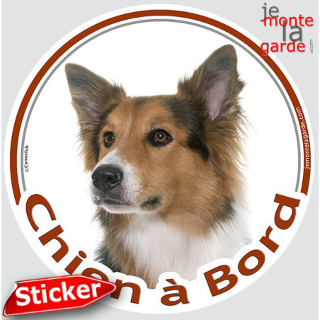Border Collie tricolore Tête, sticker autocollant rond "Chien à Bord" Disque photo adhésif vitre voiture auto, résiste pluie sol