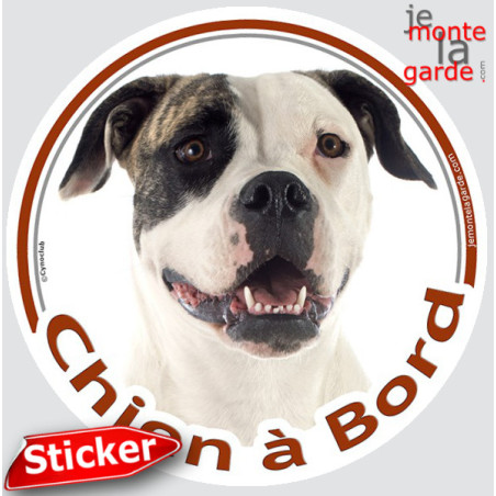 Bouledogue Américain Bringé, sticker voiture rond photo "Chien à Bord"résiste pluie soleil gel, idée cadeau, 2 Tailles D
