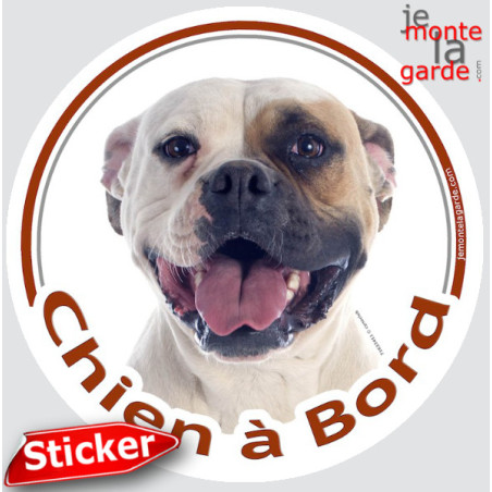 Bouledogue Américain Blanc et Fauve, sticker autocollant rond "Chien à Bord" Disque photo adhésif vitre voiture Boulam, résiste 