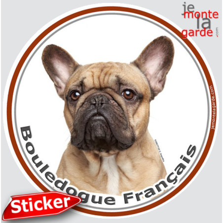 Bouledogue Français fauve, sticker photo rond 15 cm 3a Bouledogue Français fauve, sticker photo rond 15 cm 3a