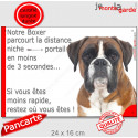 Boxer Fauve, plaque humour "distance Niche - Portail 3 secondes" 24 cm 3SEC