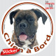 Boxer bringé, sticker autocollant rond "Chien à Bord" Disque photo adhésif vitre voiture auto, bringué marron